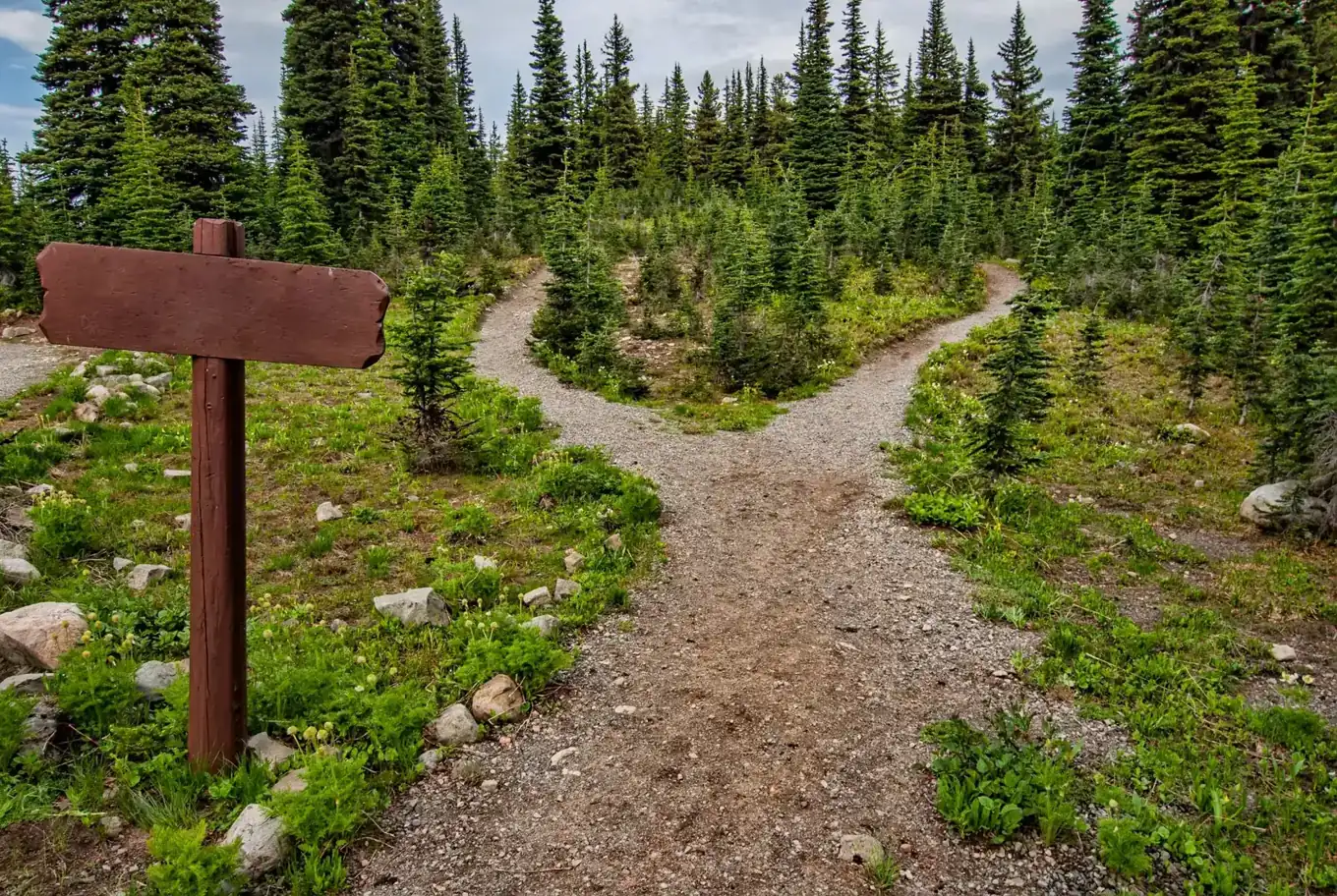 A forest trail that splits in two at a wooden signpost