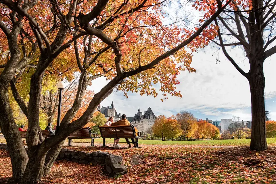 Red and orange maples over a park in Ottawa in autumn, with people resting on a bench