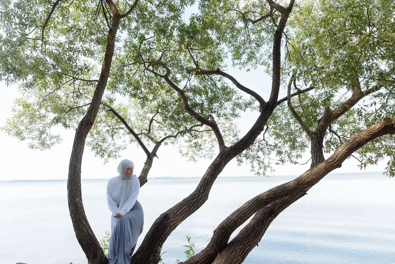 A woman sitting quietly in the low branches of a willow beside a calm lake